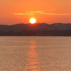 Meet your Posher, Marlene